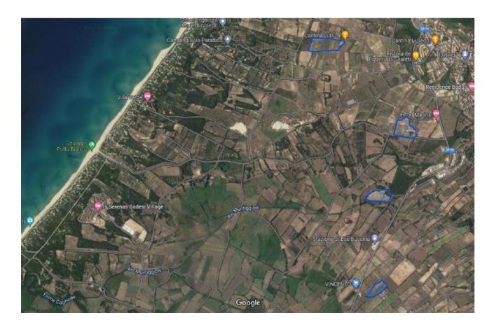 Image No.2-Vineyard for sale