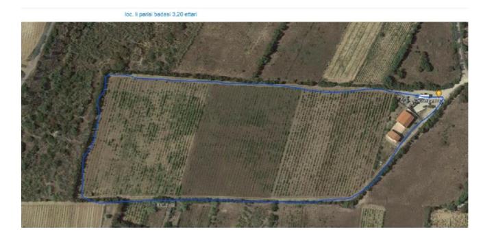 Image No.5-Vineyard for sale