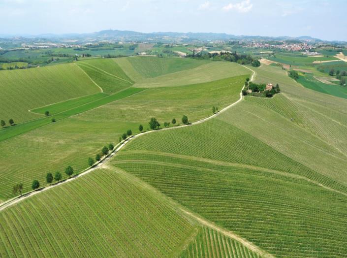 Image No.3-Vignoble de 20 chambres à vendre à Asti
