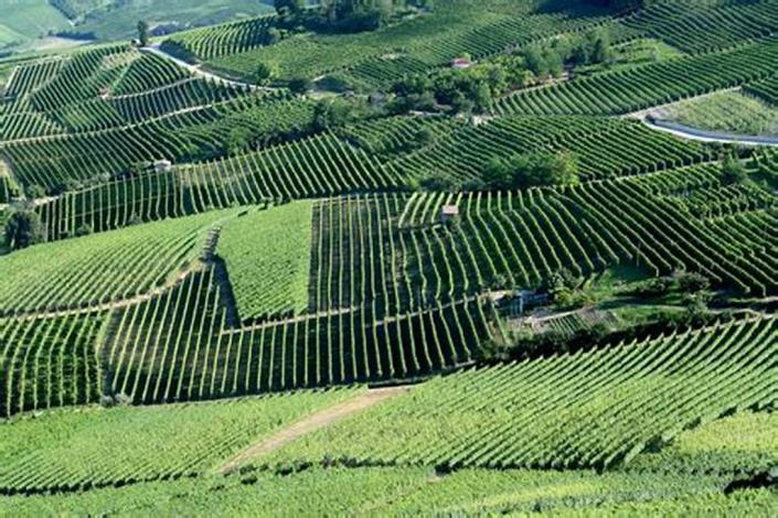 Image No.7-20 Bed Vineyard for sale