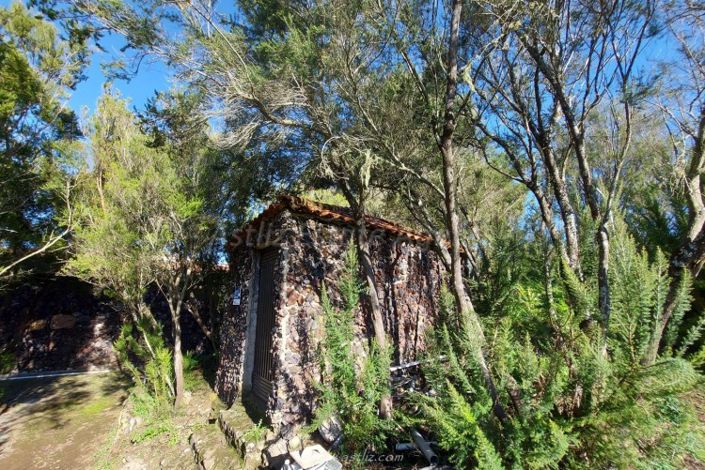Image No.21-Maison de campagne de 2 chambres à vendre à El Tanque