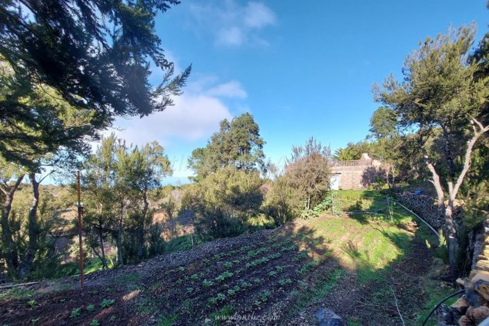 Image No.23-Maison de campagne de 2 chambres à vendre à El Tanque