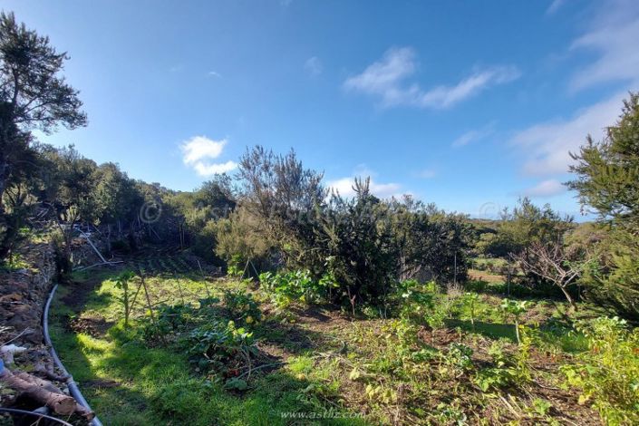 Image No.24-Maison de campagne de 2 chambres à vendre à El Tanque