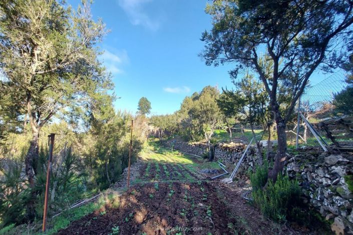 Image No.25-Maison de campagne de 2 chambres à vendre à El Tanque