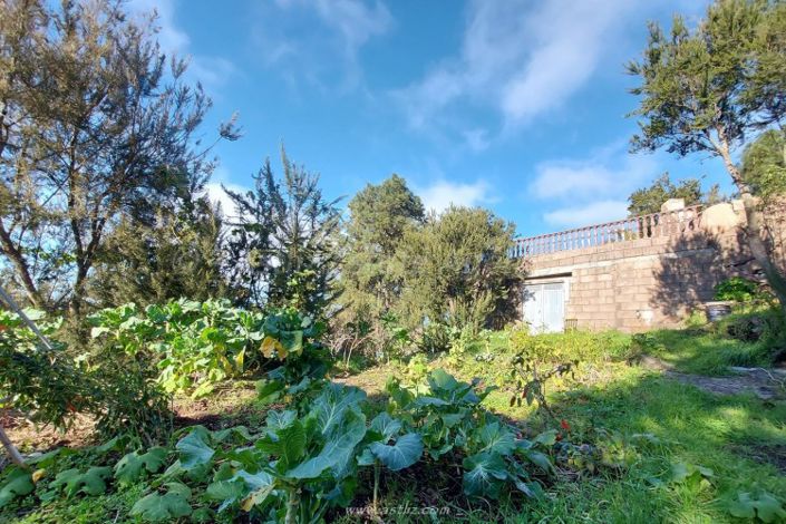 Image No.26-Maison de campagne de 2 chambres à vendre à El Tanque