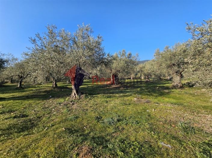 Image No.16-Terrain à vendre à Sourpi