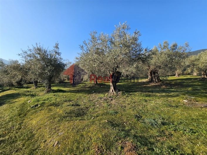 Image No.17-Terrain à vendre à Sourpi