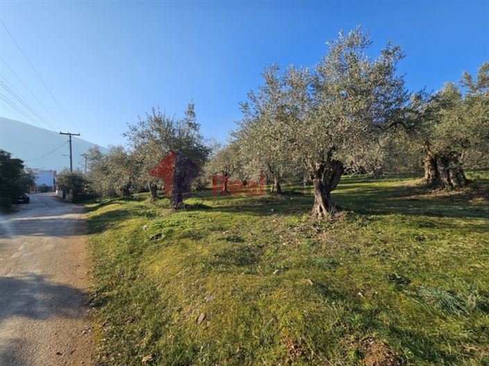 Image No.18-Terrain à vendre à Sourpi