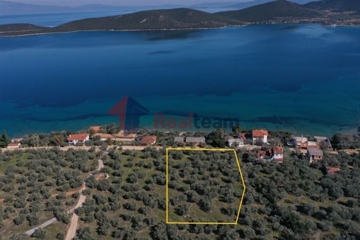 Image No.3-Terrain à vendre à Sourpi