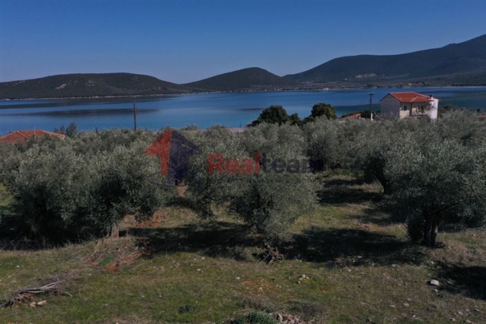 Image No.6-Terrain à vendre à Sourpi