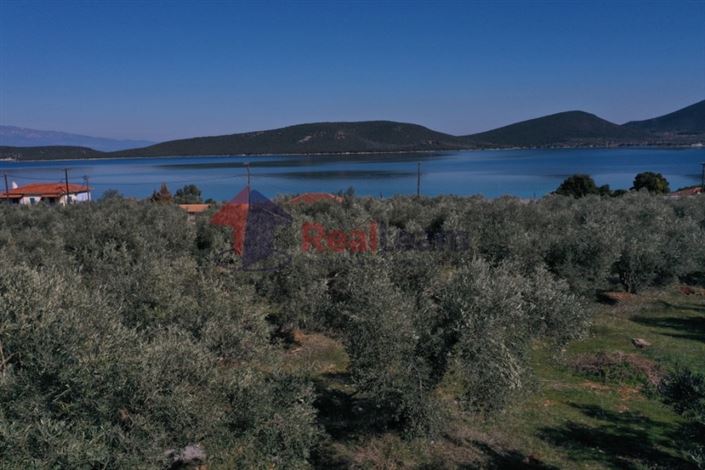 Image No.8-Terrain à vendre à Sourpi