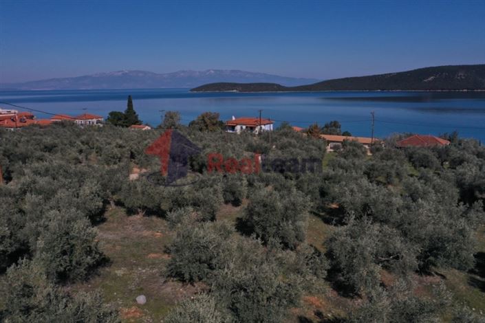 Image No.9-Terrain à vendre à Sourpi