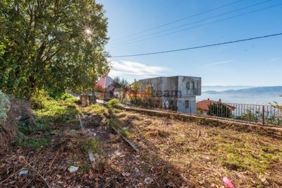 imgf03ccb24-aeda-4d98-8257-ad213d3ea070