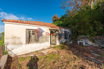 img20eadbe1-c3f9-4b70-80ef-663f6a02bf90