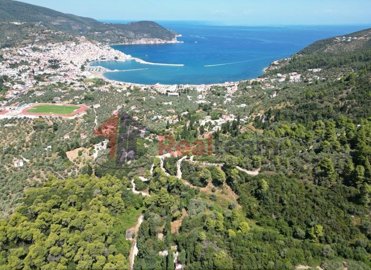 img92681d3b-da48-4dc6-9f20-4aa83045ed91