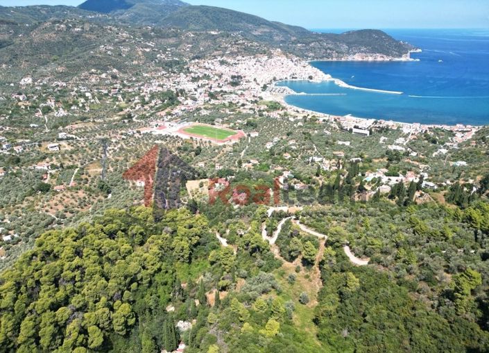 Image No.11-Propriété à vendre à Chora