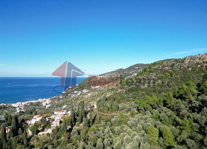 Image No.12-Propriété à vendre à Chora