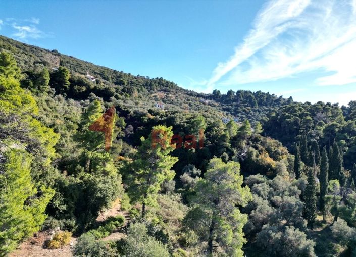 Image No.14-Propriété à vendre à Chora