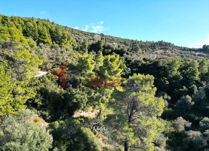 Image No.15-Propriété à vendre à Chora