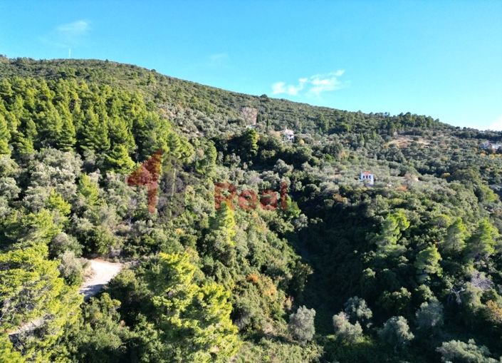 Image No.16-Propriété à vendre à Chora