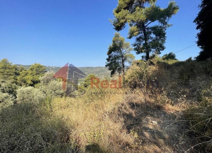 Image No.17-Propriété à vendre à Chora