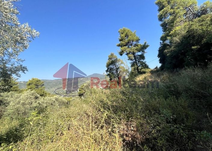 Image No.18-Propriété à vendre à Chora