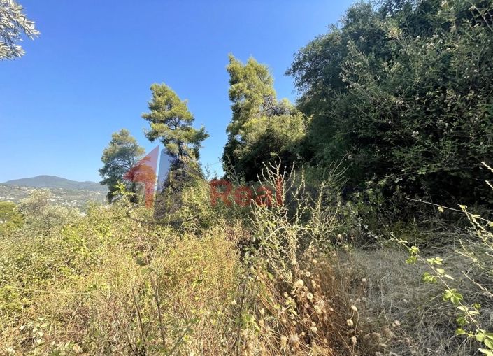 Image No.19-Propriété à vendre à Chora