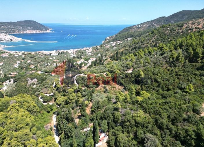 Image No.2-Propriété à vendre à Chora