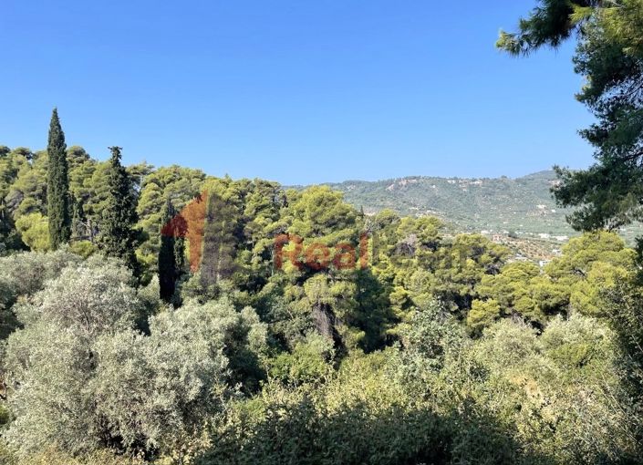 Image No.20-Propriété à vendre à Chora