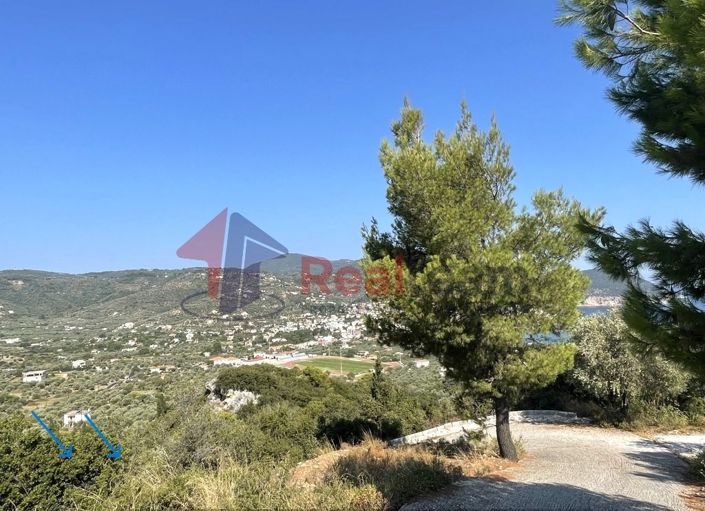 Image No.21-Propriété à vendre à Chora