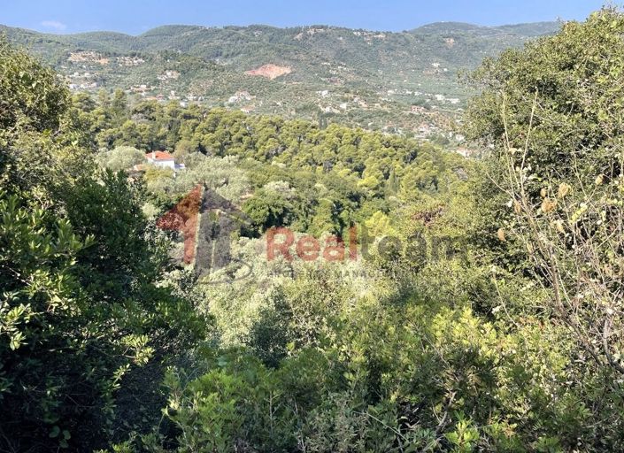 Image No.22-Propriété à vendre à Chora