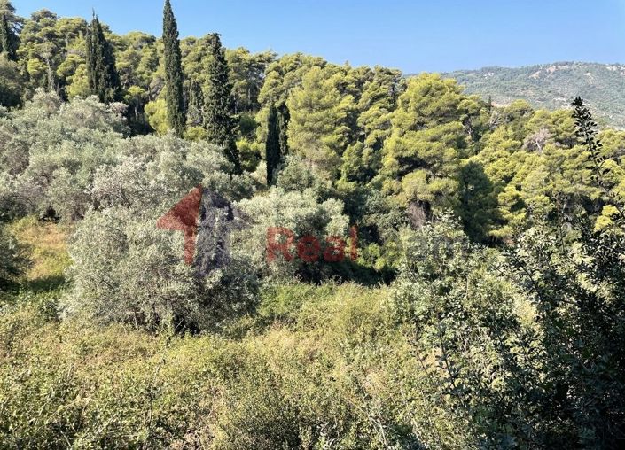 Image No.23-Propriété à vendre à Chora