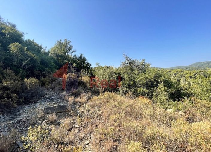 Image No.24-Propriété à vendre à Chora