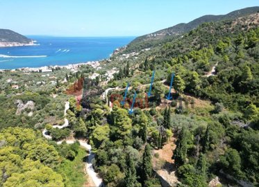 img4aed4ced-0e45-4919-a05b-da69d5669534