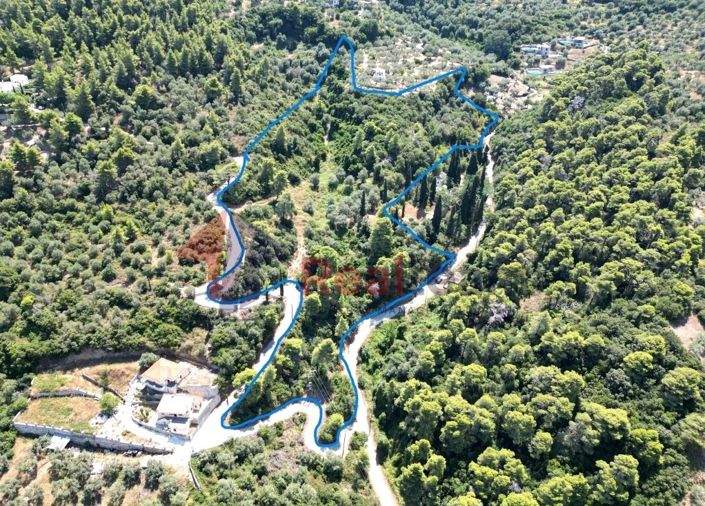 Image No.4-Propriété à vendre à Chora