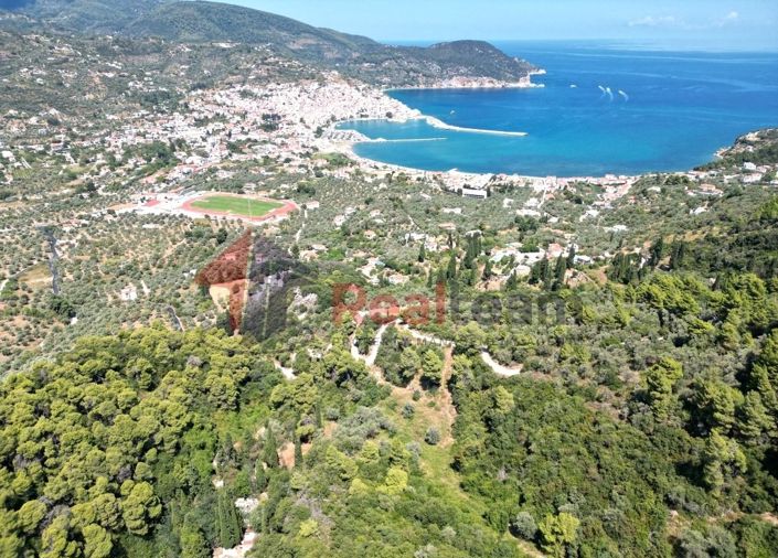 Image No.5-Propriété à vendre à Chora