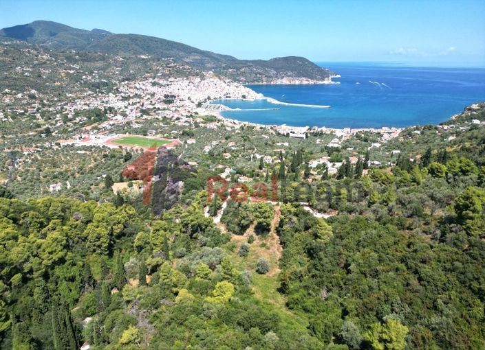 Image No.6-Propriété à vendre à Chora