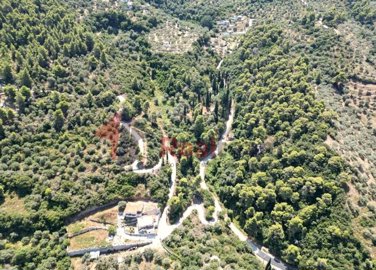 imgf0908f75-ff70-4a7e-ae24-fc00157e78e0