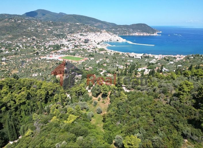 Image No.8-Propriété à vendre à Chora