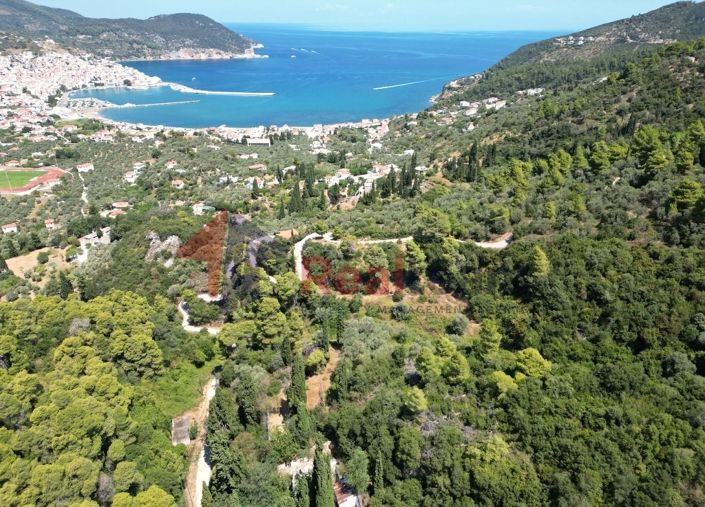 Image No.9-Propriété à vendre à Chora