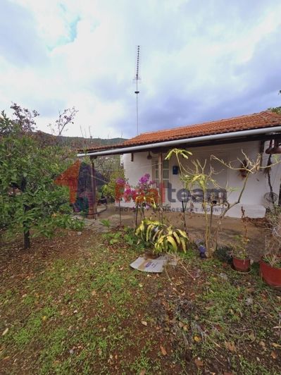 Image No.15-Propriété de 1 chambre à vendre à Alonnisos