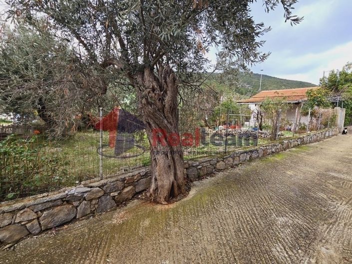 Image No.2-Propriété de 1 chambre à vendre à Alonnisos