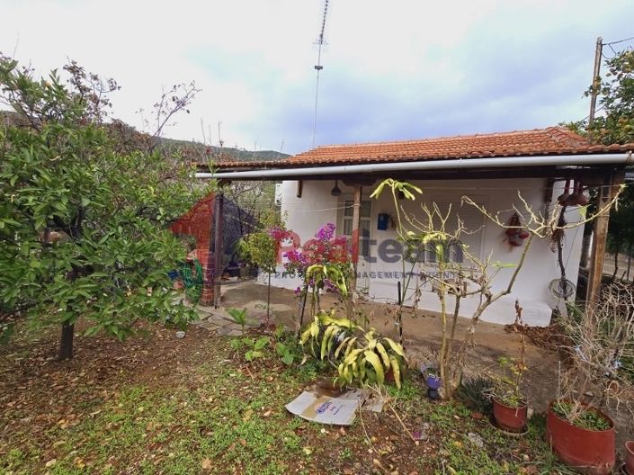 Image No.5-Propriété de 1 chambre à vendre à Alonnisos