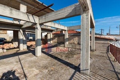 1 - Pteleos, Propriété