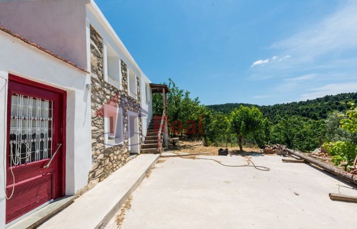 Image No.12-Propriété de 1 chambre à vendre à Chora