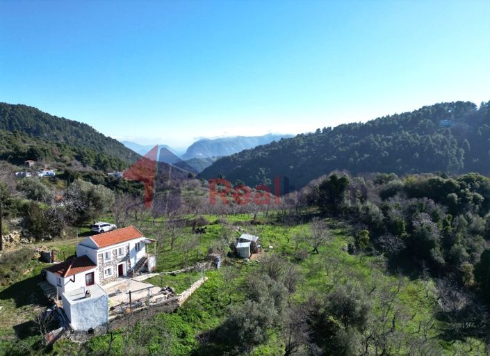 Image No.2-Propriété de 1 chambre à vendre à Chora