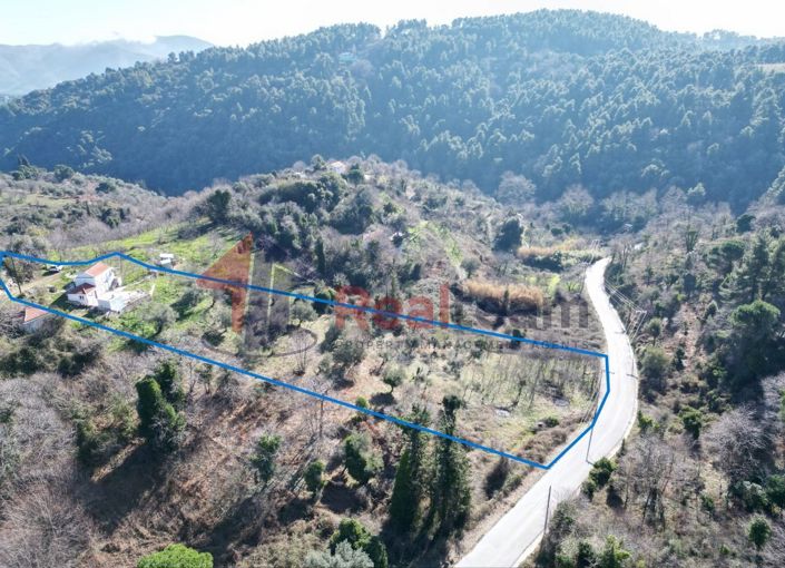 Image No.3-Propriété de 1 chambre à vendre à Chora