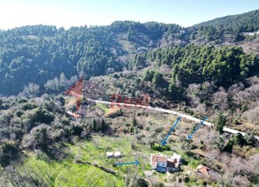 eeb5eff76b604012870e570697febf52