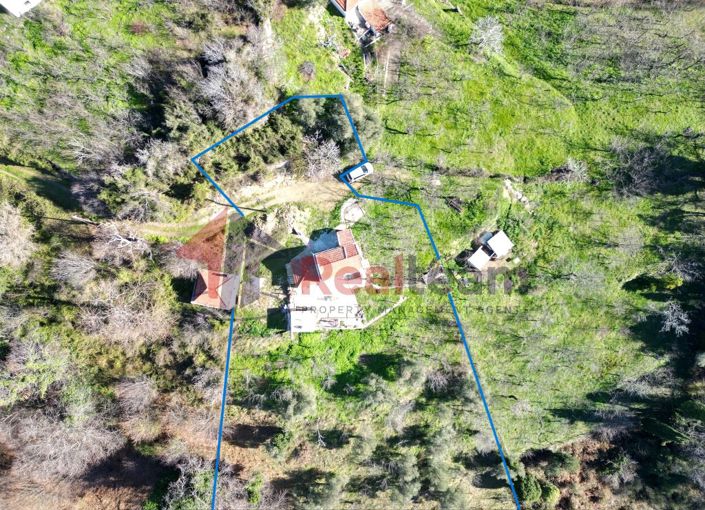 Image No.5-Propriété de 1 chambre à vendre à Chora