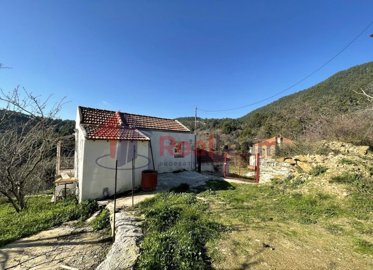 fea0d1f91e9b4b45b04b331d387773b5